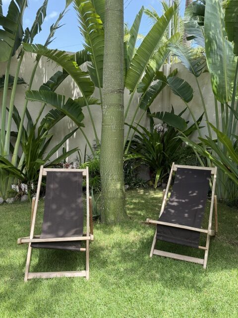 Hamacas entre palmeras — tardes en Coco Calín