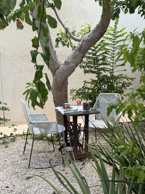 Jardín y desayuno en Coco Calín, Sisal