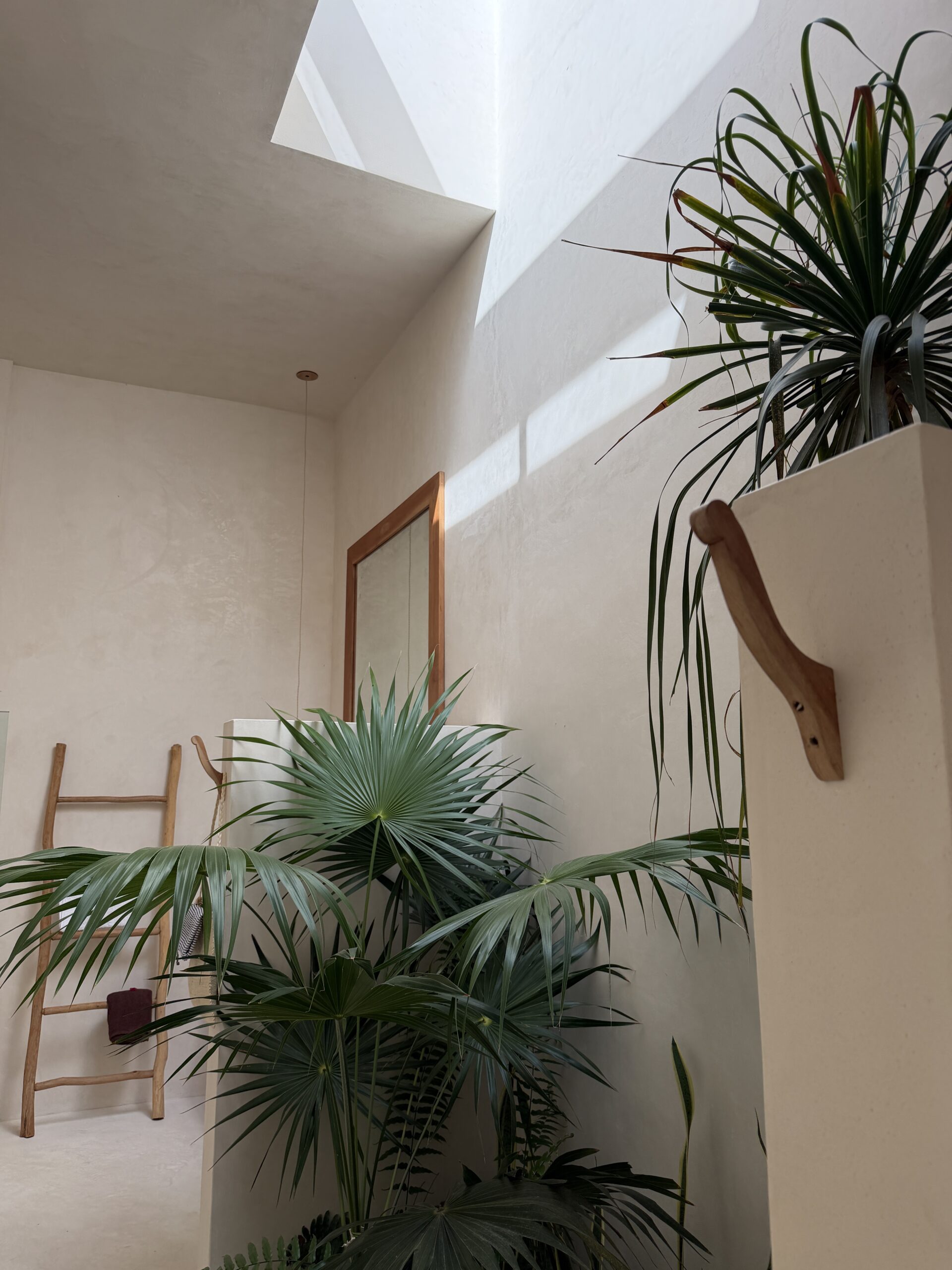 Calín Bohemian — vista 4